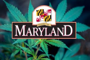 Maryland Cannabis Law FAQs