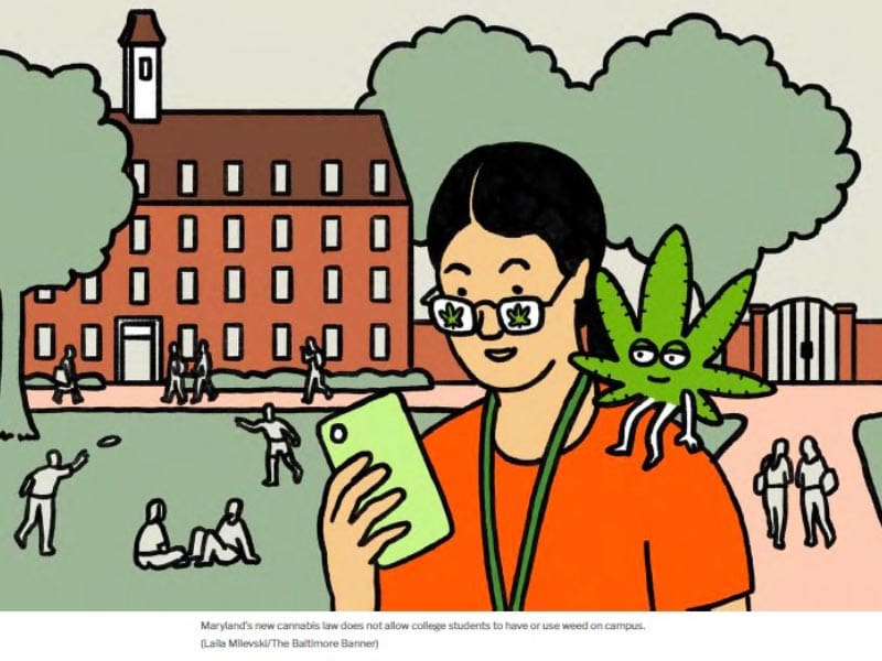 Comic: Cannabis at college? What Maryland students need to know